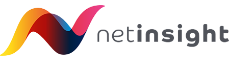 Netinsight Logo